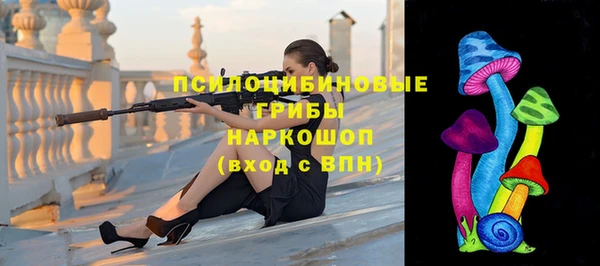 спиды Гвардейск