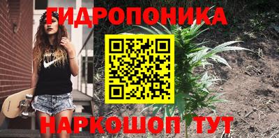 mdma Гатчина
