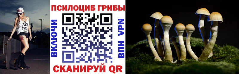 Галлюциногенные грибы Cubensis  Кохма 
