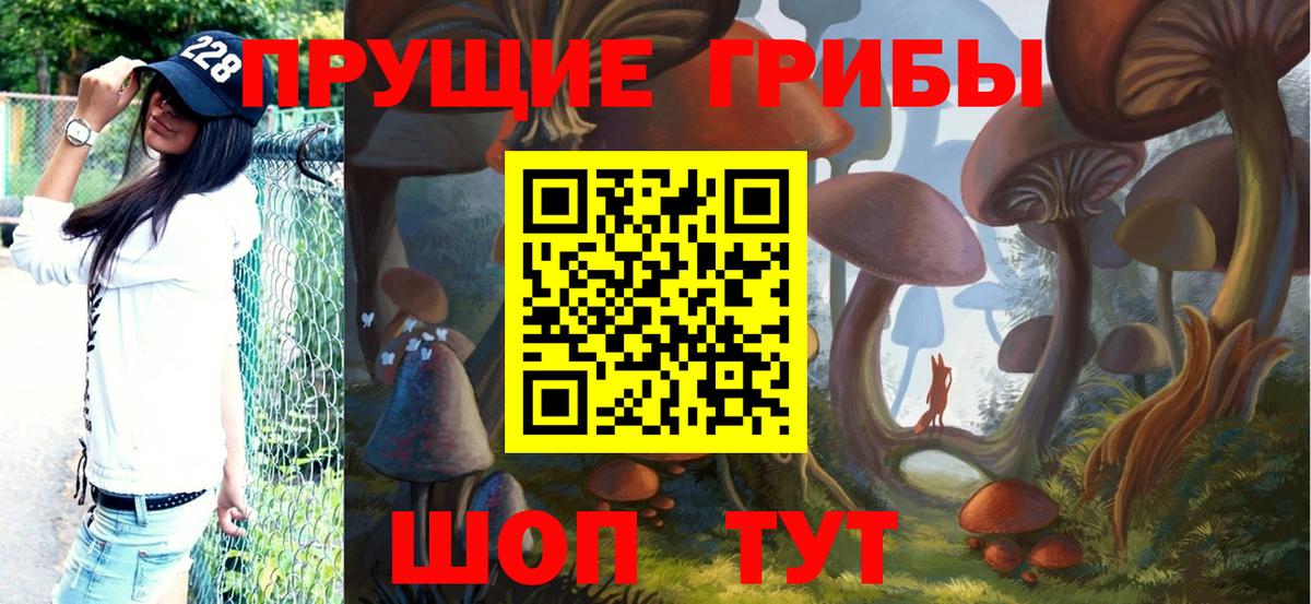 Псилоцибиновые грибы Psilocybe Кохма
