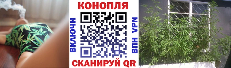 цена наркотик  Кохма  Бошки Шишки тримм 